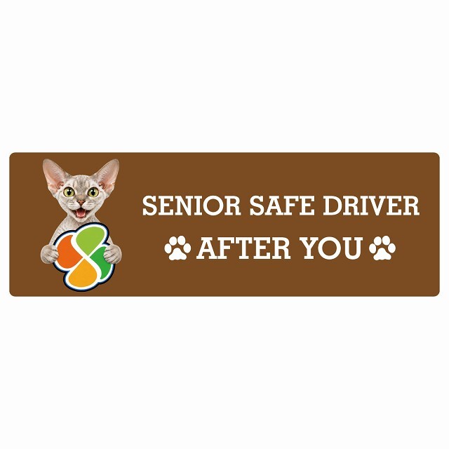 カーサイン 高齢者マーク SENIOR SAFE DRIVER デボンレックス ステッカー シール 長方形 15x5cm 肉球 日本製 車