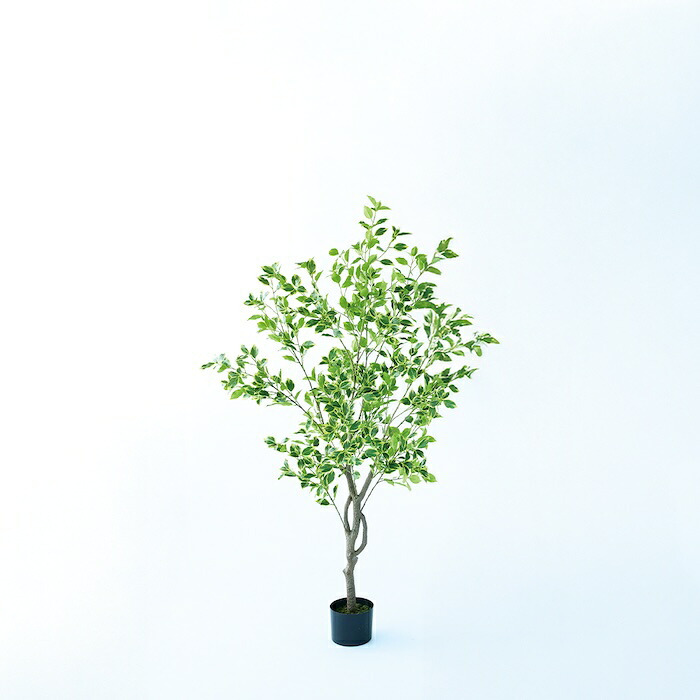 観葉植物 造花 斑入りベンジャミン BROWN 全高約150cm 大型 ゴムの木 フェイクグリーン 本物そっくり おしゃれ インテリア 人工観葉植物 アーティフィシャルグリーン オフィス 店舗 ホテル 開店祝い 室内 ベンジャミン 斑入り フィカス フェイク