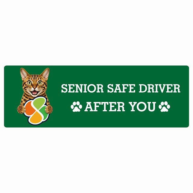 カーサイン 高齢者マーク SENIOR SAFE DRIVER ベンガル ステッカー シール 長方形 15x5cm 肉球 日本製 車