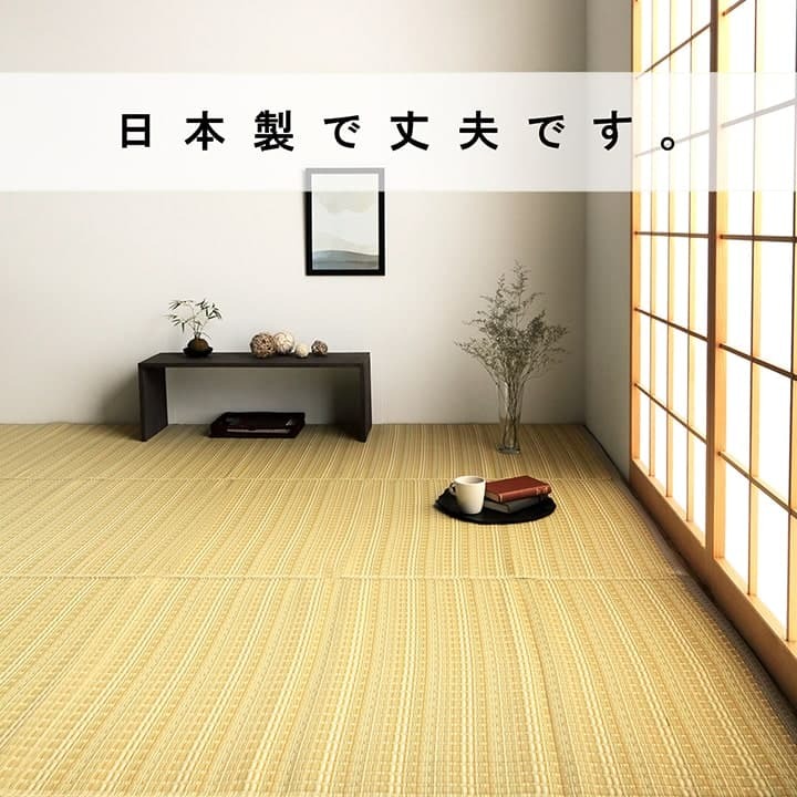 ラグ カーペット 洗える ダイニング 敷詰 丈夫 日本製 国産 除菌スプレー対応 ござ アウトドア ペット 江戸間4.5畳（約261×261cm）