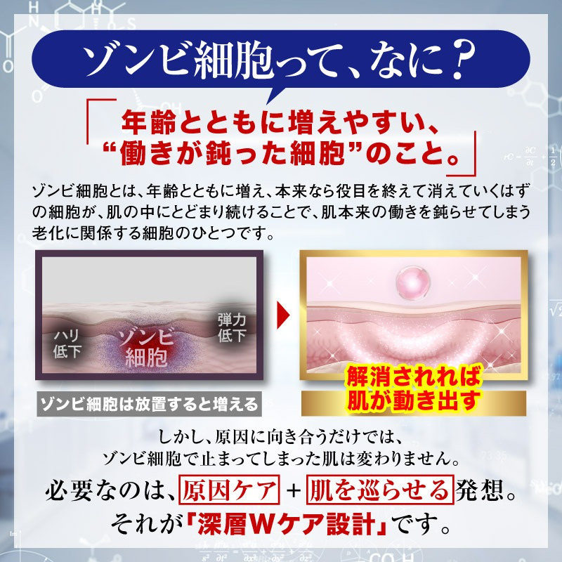 セイクリッド ザ・クリアターンセラム / 美容液 エイジングケア 年齢肌 ナイアシンアミド ビタミンC誘導体 ビタミンE誘導体 ヒアルロン酸 保湿 ハリ 弾力 ツヤ 乾燥くすみ 透明感 / 年齢とともに気になるハリ不足や乾燥に 