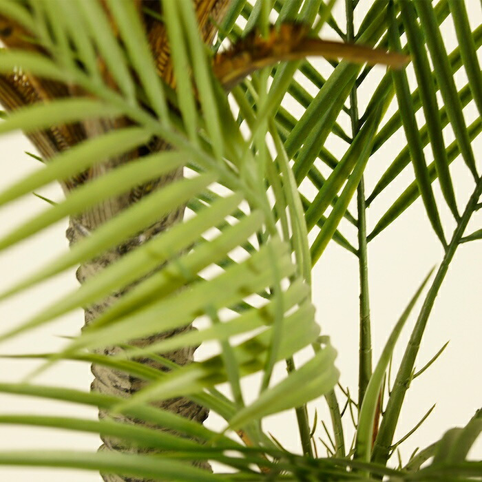 観葉植物 造花 フェニックス ロベレニー BROWN 全高約190cm 大型 フェイクグリーン 高級 本物そっくり リアル おしゃれ インテリア 人工観葉植物 アーティフィシャルグリーン 2本立ち オフィス 店舗 ホテル 開店祝い 室内 リビング 玄関 風水 ヤシの木 シンノウヤシ