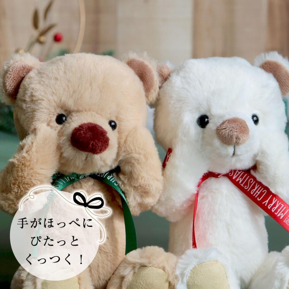 ぬいぐるみ くま 名入れ 【名入れも出来る ふわふわベア】 誕生日プレゼント 1歳 2歳 3歳 女の子 男の子 クリスマス 名前 癒し 赤ちゃん 子供 テディベア 可愛い 女性 彼女 友達 娘 孫 記念日 彼氏 お揃い おしゃれ 出産祝い 記念品 メモリアル おもちゃ 母 安眠 息子 小学生 白 茶色 ファーストベア カップル リラックス KUU&FUU(3Sサイズ) 約22cm 80235