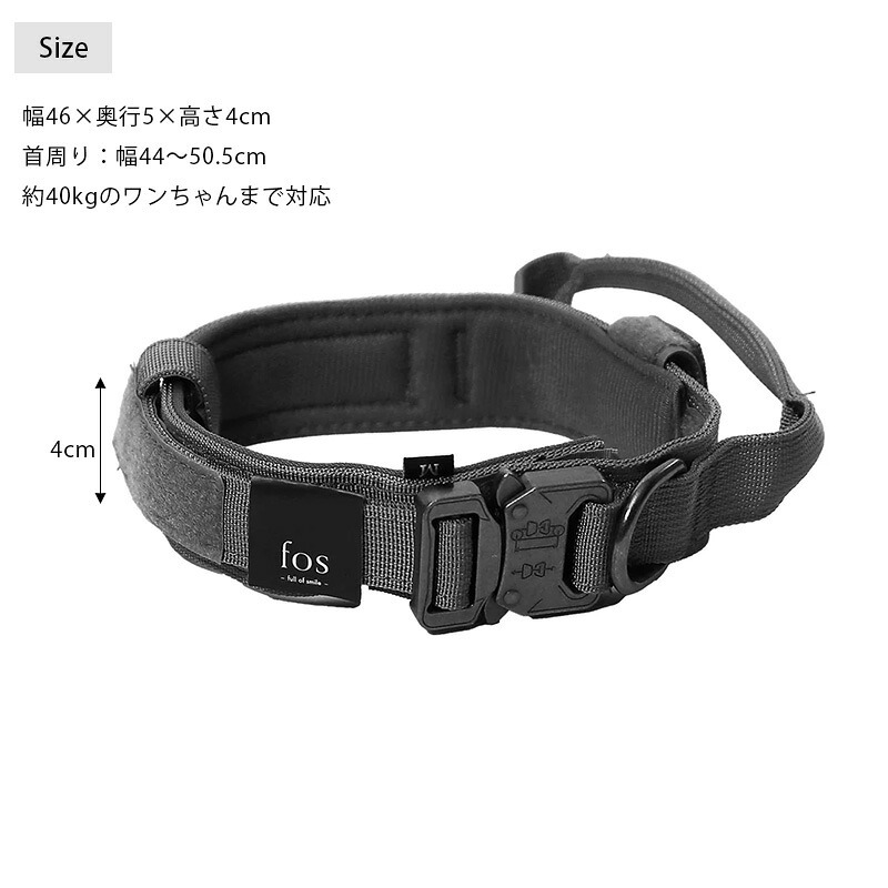 fos ノーブルカラー