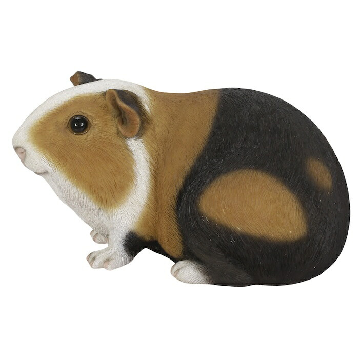 置物 モルモット 茶黒白モルモット 幅23cm woobia ウービア リアル かわいい おしゃれ 玄関 インテリア オブジェ ガーデン テンジクネズミ 動物 アニマル 癒し 棚 北欧 プレゼント ギフト 新築祝い 個性的