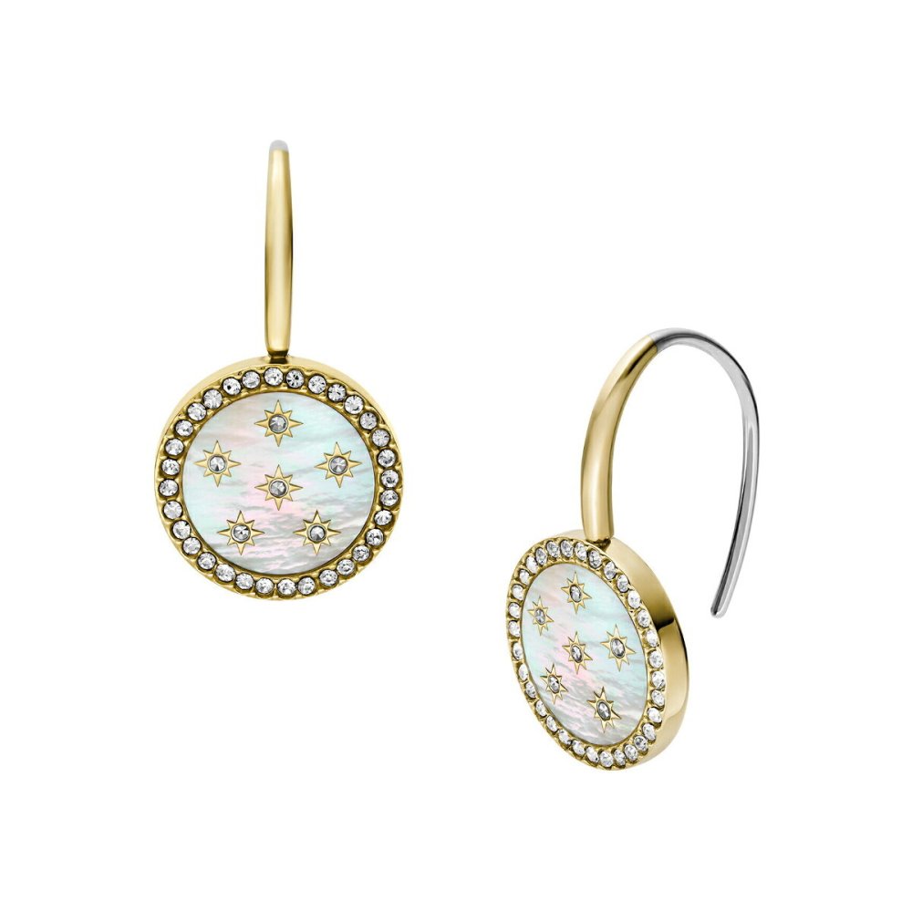 フォッシル FOSSIL Merrit アクセサリー ピアス レディース JF04867710