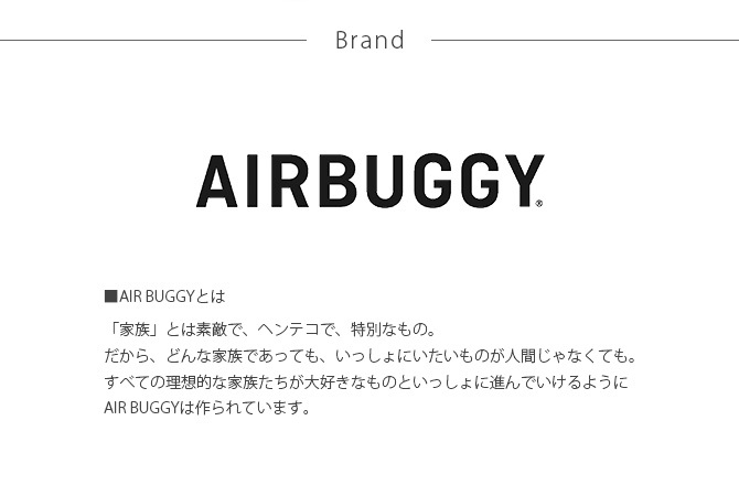 AIR BUGGY エアバギー 3WAY バックパックキャリー ワイド