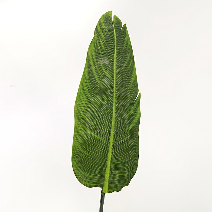 観葉植物 造花 ストレリチア BROWN 全高約126cm 大型 フェイクグリーン 本物そっくり おしゃれ インテリア 人工観葉植物 アーティフィシャルグリーン オフィス 店舗 ホテル 開店祝い 室内 極楽鳥花 オーガスタ フェイク