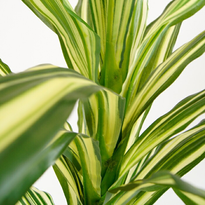 観葉植物 造花 ドラセナ ワーネッキー BROWN 全高約150cm 大型 フェイクグリーン 本物そっくり おしゃれ インテリア 人工観葉植物 アーティフィシャルグリーン オフィス 店舗 ホテル 開店祝い 室内 幸福の木 フェイク