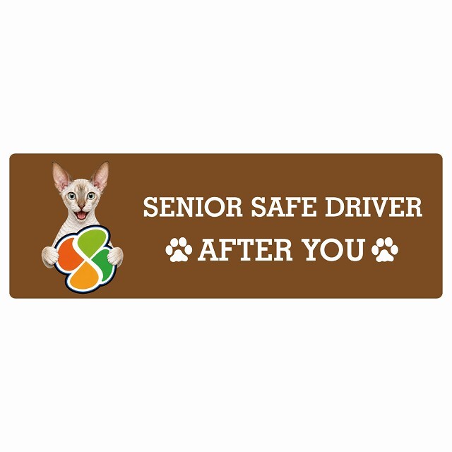 カーサイン 高齢者マーク SENIOR SAFE DRIVER コーニッシュレックス ステッカー シール 長方形 15x5cm 肉球 日本製 車