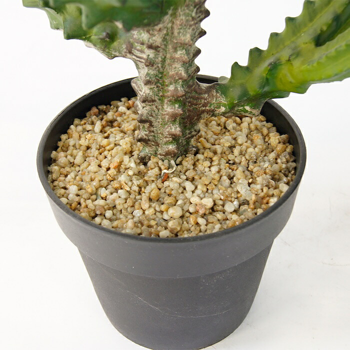 観葉植物 造花 ユーフォルビア BROWN 全高約112cm 中型 フェイクグリーン 本物そっくり おしゃれ インテリア 人工観葉植物 アーティフィシャルグリーン オフィス 店舗 ホテル 開店祝い 室内 多肉植物 フェイク