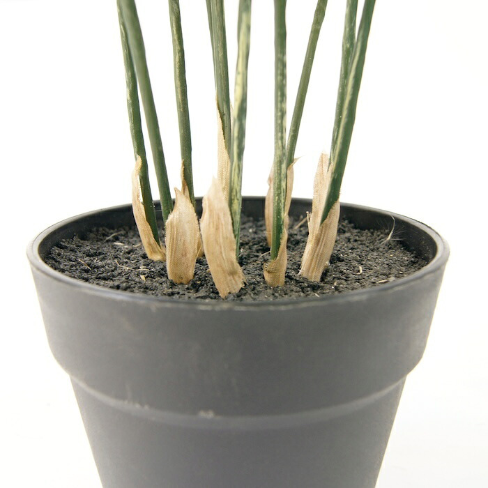 観葉植物 造花 フレボディウム BROWN 全高約65cm 卓上・小型 フェイクグリーン 本物そっくり おしゃれ インテリア 人工観葉植物 アーティフィシャルグリーン オフィス 店舗 ホテル 開店祝い 室内 ミニ ブルースター シダ フェイク