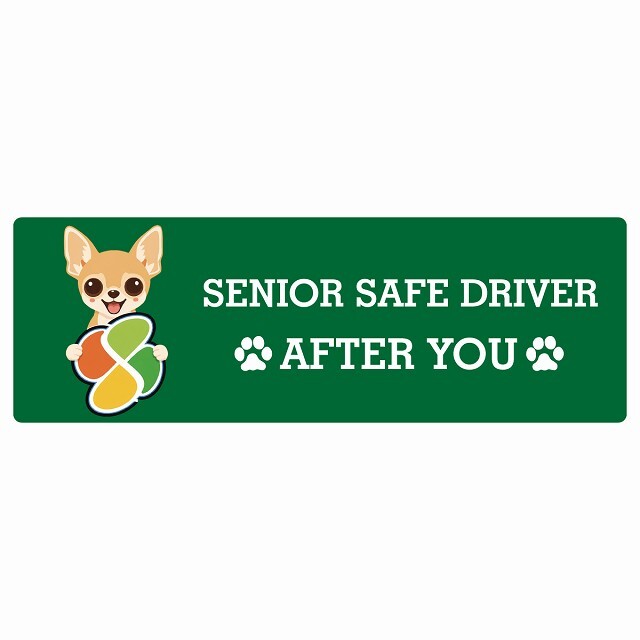 カーサイン 高齢者マーク SENIOR SAFE DRIVER チワワ ステッカー シール 長方形 15x5cm 肉球 日本製 車