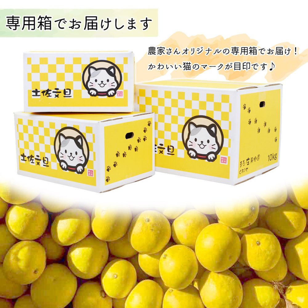 土佐文旦 野囲い 文旦 大玉 2L～4L 10kg 家庭用 土佐市 まる庄果樹園 産直 山間部栽培 ぶんたん 産地直送 高知産 ジューシー まろやか 高知 ブンタン 農家直送 ネコちゃん箱入り 届いてすぐに食べれる追熟文旦【送料無料】