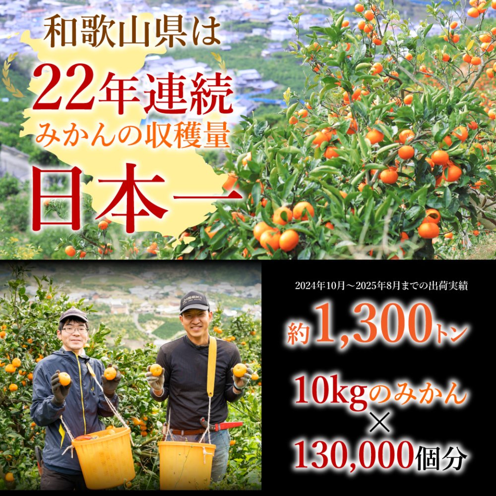 みかん 2.5kg 贈答用 秀品 特選 送料無料 和歌山 M L 伊藤農園 大玉 中玉 手詰め 有田みかん 温州みかん 果物 出産内祝い 贈答 ギフト 誕生日 結婚祝い 出産祝い 内祝い ギフト