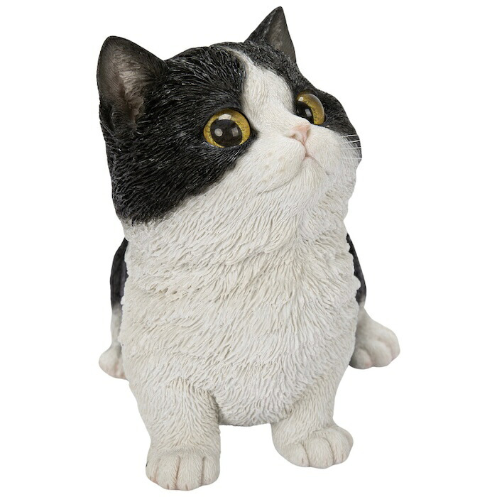 置物 猫 見上げるマンチカン 黒白 幅16cm woobia ウービア リアル かわいい おしゃれ 玄関 インテリア オブジェ ガーデン マンチカン 白黒 ハチワレ ネコ 動物 アニマル 癒し 棚 北欧 リビング プレゼント ギフト 新築祝い 猫好き