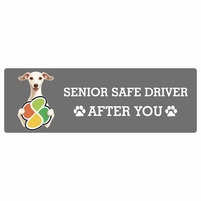カーサイン 高齢者マーク SENIOR SAFE DRIVER イタリアングレーハウンド ステッカー シール 長方形 20x6.7cm 肉球 日本製 車
