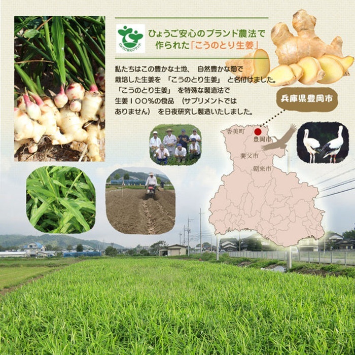 【お徳用】ハチミツおろし生姜500ｇ