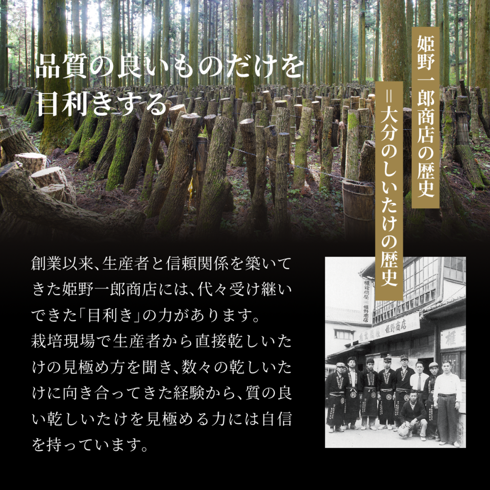 佃煮 ギフト 椎茸 老舗 詰め合わせ 国産 姫 ギフトセット 10個入(9種類)  しいたけの佃煮 昆布の佃煮 ちりめん ぴり辛 つくだ煮 甘露煮 ゆず甘露 きくらげ ご飯のお供 保存料・化学調味料不使用 手作り プレゼント 贈り物 手土産 ふるさとの味 姫野一郎商店 母の日 お歳暮 お中元 夏の贈り物 冬の贈り物 敬老の日 新築祝い お祝い 敬老の日 快気祝い 引っ越し祝い 