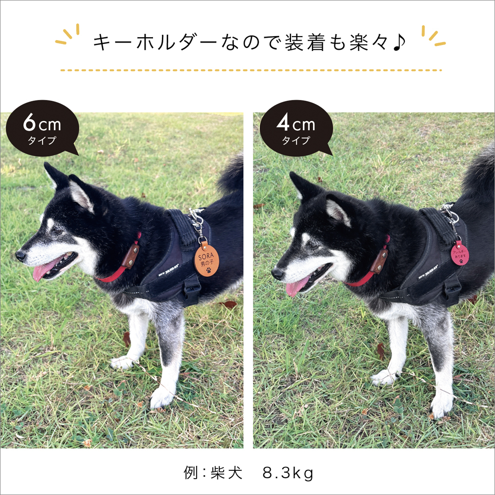 犬 メッセージタグ イエローリボン 散歩 お散歩タグ オリジナル 犬用タグ 迷子札 大きめ 本革 栃木レザー 軽量 散歩タグ 革 レザー 愛犬の気持ちを伝える こわがり 臆病 人が苦手 よく吠える 音が苦手 名入れ