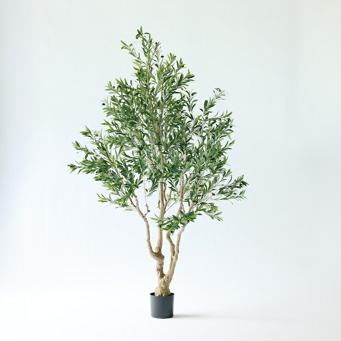 観葉植物 造花 オリーブ BROWN 全高約230cm 大型 古木風 フェイクグリーン 高級 本物そっくり リアル おしゃれ インテリア 人工観葉植物 アーティフィシャルグリーン シンボルツリー オフィス 店舗 ホテル カフェ 開店祝い 室内 リビング 玄関 風水 オリーブの木