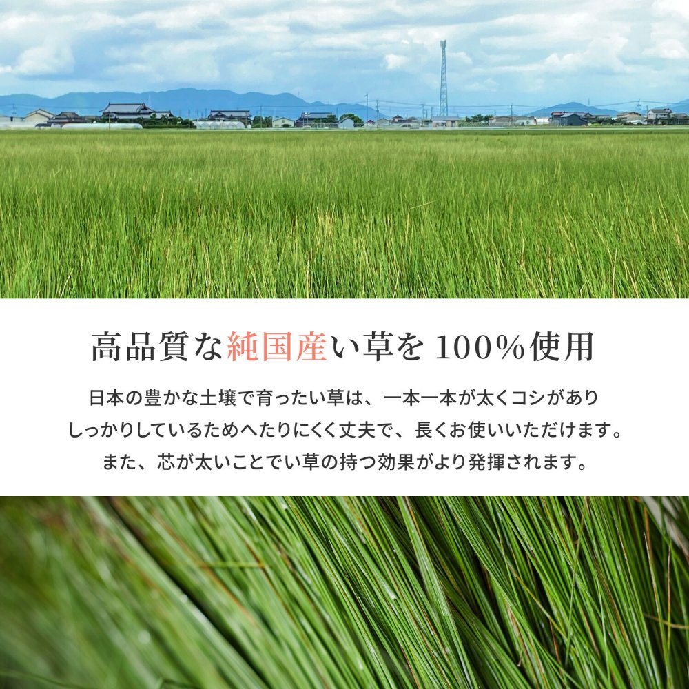 国産 い草 平枕 約32×22×10cm まくら 倉敷帆布 ソフティル せとのとシリーズ ふわもち 日本製 国産い草 のい草平枕 綿 ピロー 枕寝具 寝具用品 寝室用 寝室用品 インテリア 綿100% やわらか ベージュ ブルー