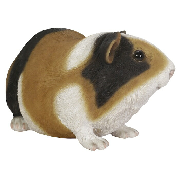 置物 モルモット 茶黒白モルモット 幅23cm woobia ウービア リアル かわいい おしゃれ 玄関 インテリア オブジェ ガーデン テンジクネズミ 動物 アニマル 癒し 棚 北欧 プレゼント ギフト 新築祝い 個性的