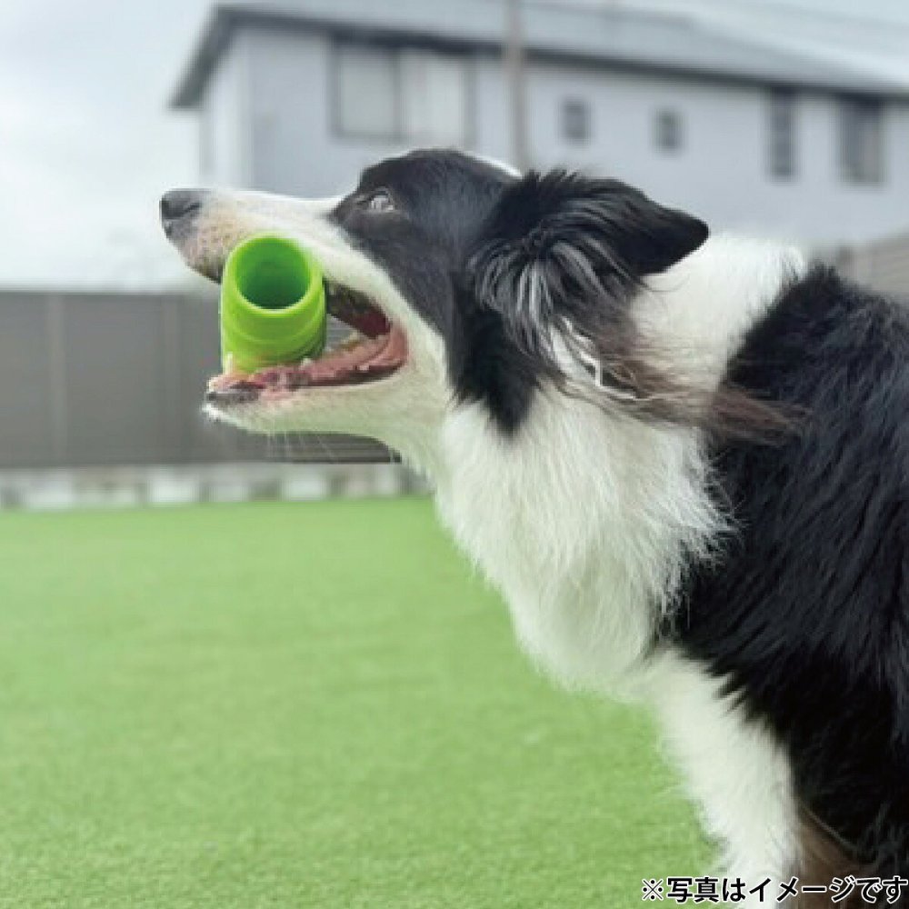 ジョイサー JOYSER ホールスティック 犬用おもちゃ オレンジ