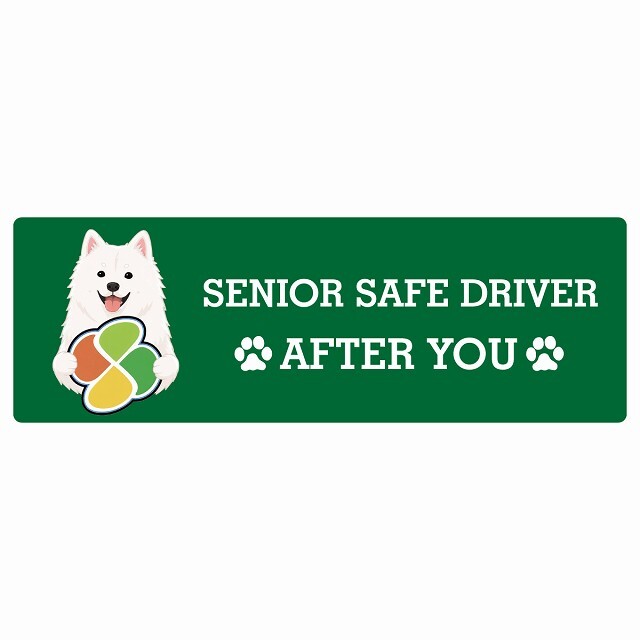 カーサイン 高齢者マーク SENIOR SAFE DRIVER 紀州犬 ステッカー シール 長方形 20x6.7cm 肉球 日本製 車