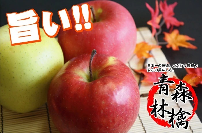 【11月中旬頃発送】蜜入りは１２月末まで　青森県認証 特別栽培農産物 ◆ 甘くておいしい！フォーシーズン 青森りんご 葉とらずサンふじ 家庭用 約１０kg箱