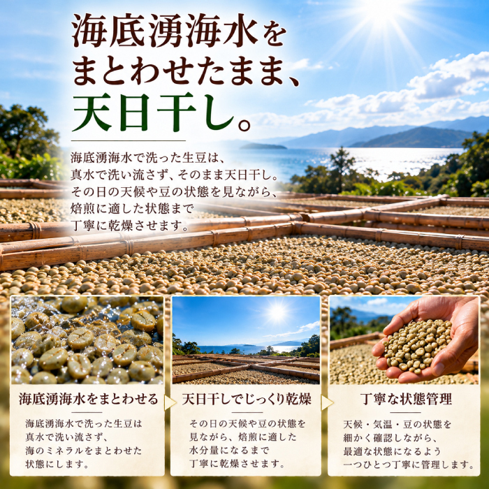 塩焙煎珈琲 コーヒー豆 100g 150g ドリップコーヒー 山口県 光市 室積 力塩 珈琲 塩コーヒー ラオス産 コーヒー お取り寄せ ギフト プレゼント 贈り物 自宅用