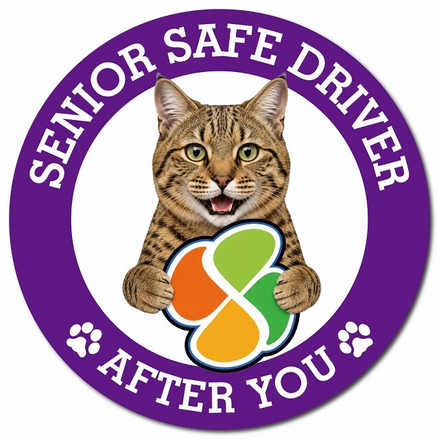 カーサイン 高齢者マーク SENIOR SAFE DRIVER ピクシーボブ マグネット 強力 直径13cm 肉球 日本製 車 ステッカー