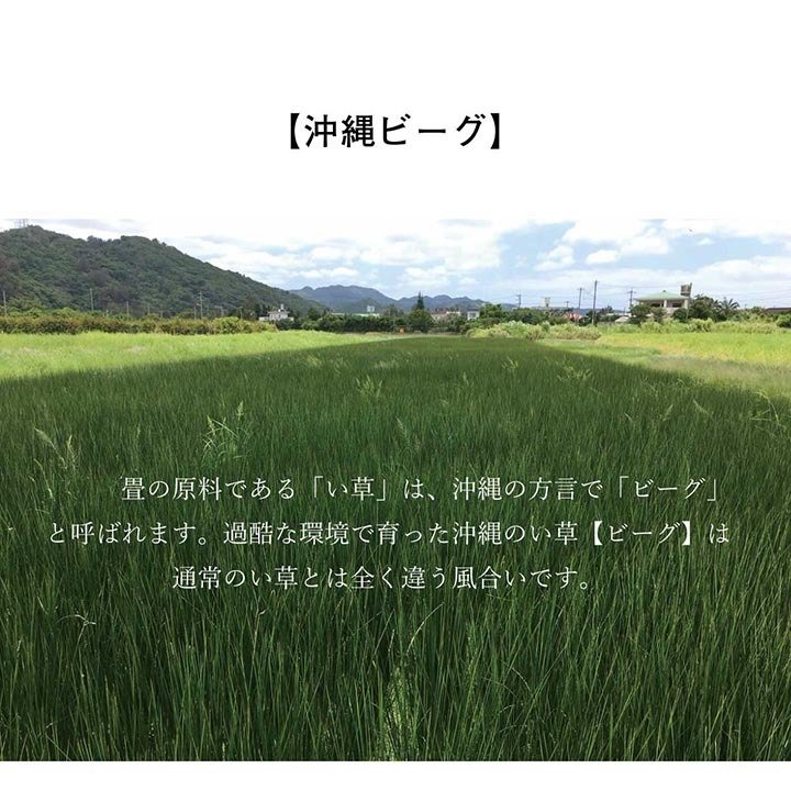 夏ラグ 夏用カーペット 日本製 国産 純国産 沖縄ビーグ ラグ い草 約191×191cm (裏:不織布）