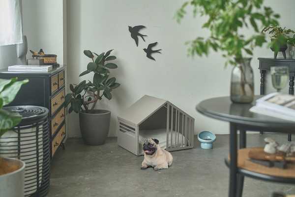 ペットハウス Lサイズ ミルク ガルバリウム製 犬 猫 屋内用 おしゃれ 北欧風 耐久性 お手入れ簡単 隠れ家 室内小屋 スリット付き コード穴付き S24-0553 セトクラフト