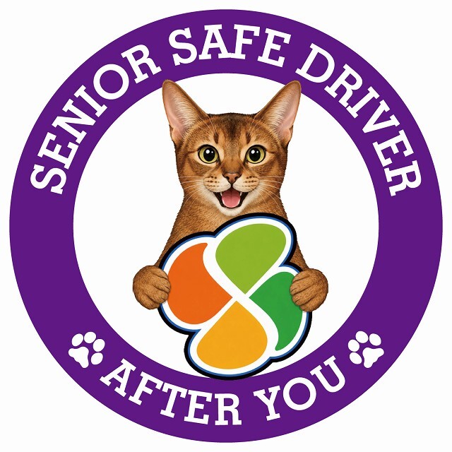 カーサイン 高齢者マーク SENIOR SAFE DRIVER アビシニアン ステッカー シール 直径13cm 肉球 日本製 車