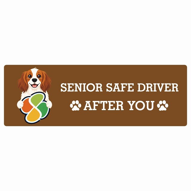 カーサイン 高齢者マーク SENIOR SAFE DRIVER コーイケルホーンディエ ステッカー シール 長方形 20x6.7cm 肉球 日本製 車