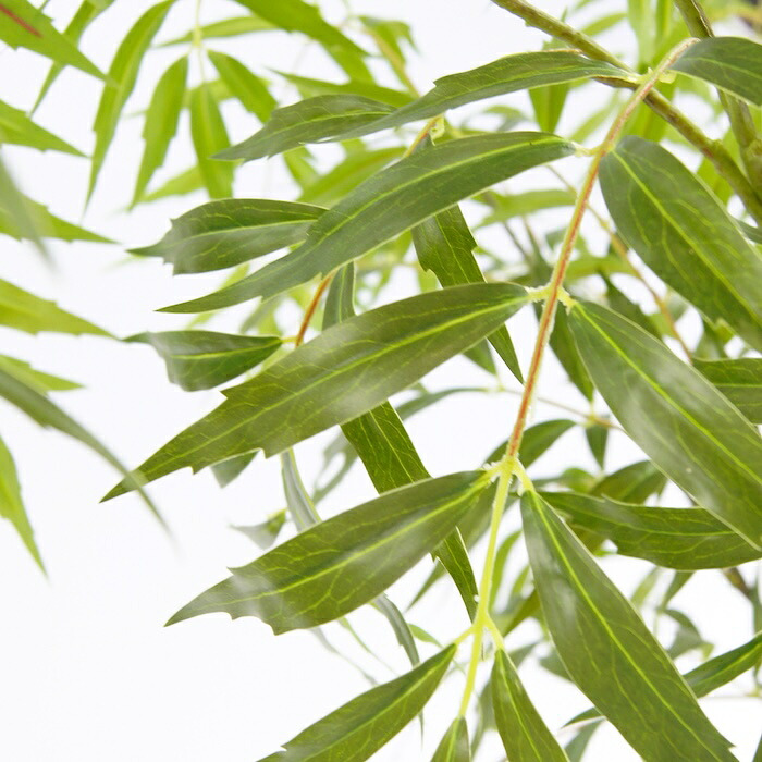 観葉植物 造花 マホニア コンフューサ BROWN 全高約180cm 大型 フェイクグリーン 高級 本物そっくり リアル おしゃれ 和風 和モダン インテリア 人工観葉植物 アーティフィシャルグリーン オフィス 店舗 ホテル 旅館 開店祝い 室内 リビング 玄関 庭木 細葉ヒイラギナンテン