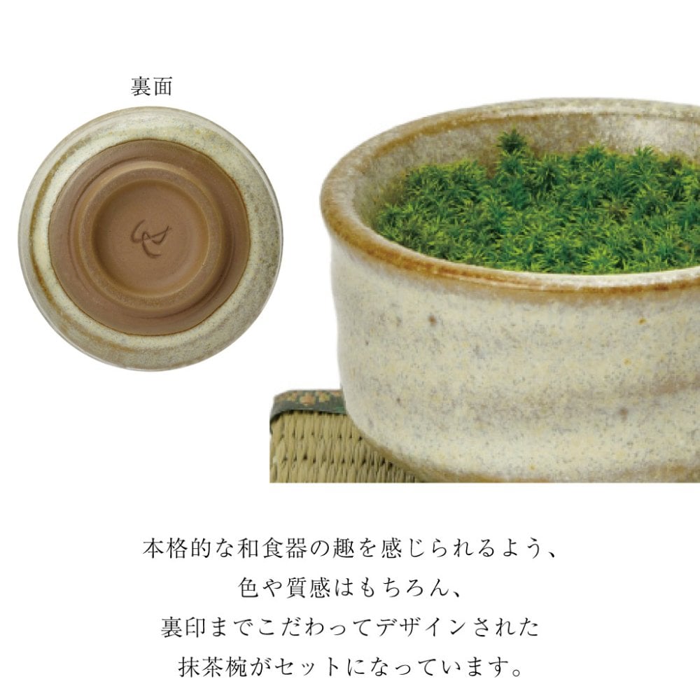 抹茶碗 苔栽培キット スナゴケ 植物 陶器 コケ グリーン スターターセット オブジェ 置物 おしゃれ インテリア 雑貨 ギフト プレゼント 男性 女性 父の日 母の日 敬老の日 誕生日 ラッピング対応 無料ラッピング