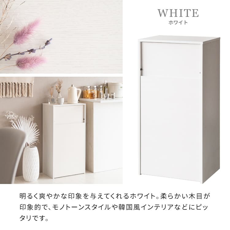 ゴミ箱 ダストボックス キャスター付き 45L 北欧 シンプル モダン 大容量 フタ付き プッシュ扉式 ごみ箱 DB-F1100 Helios ヘリオス スリム 奥浅 薄型 縦型 木製 木目調 人気 おすすめ おしゃれ ランキング キッチン 収納 棚