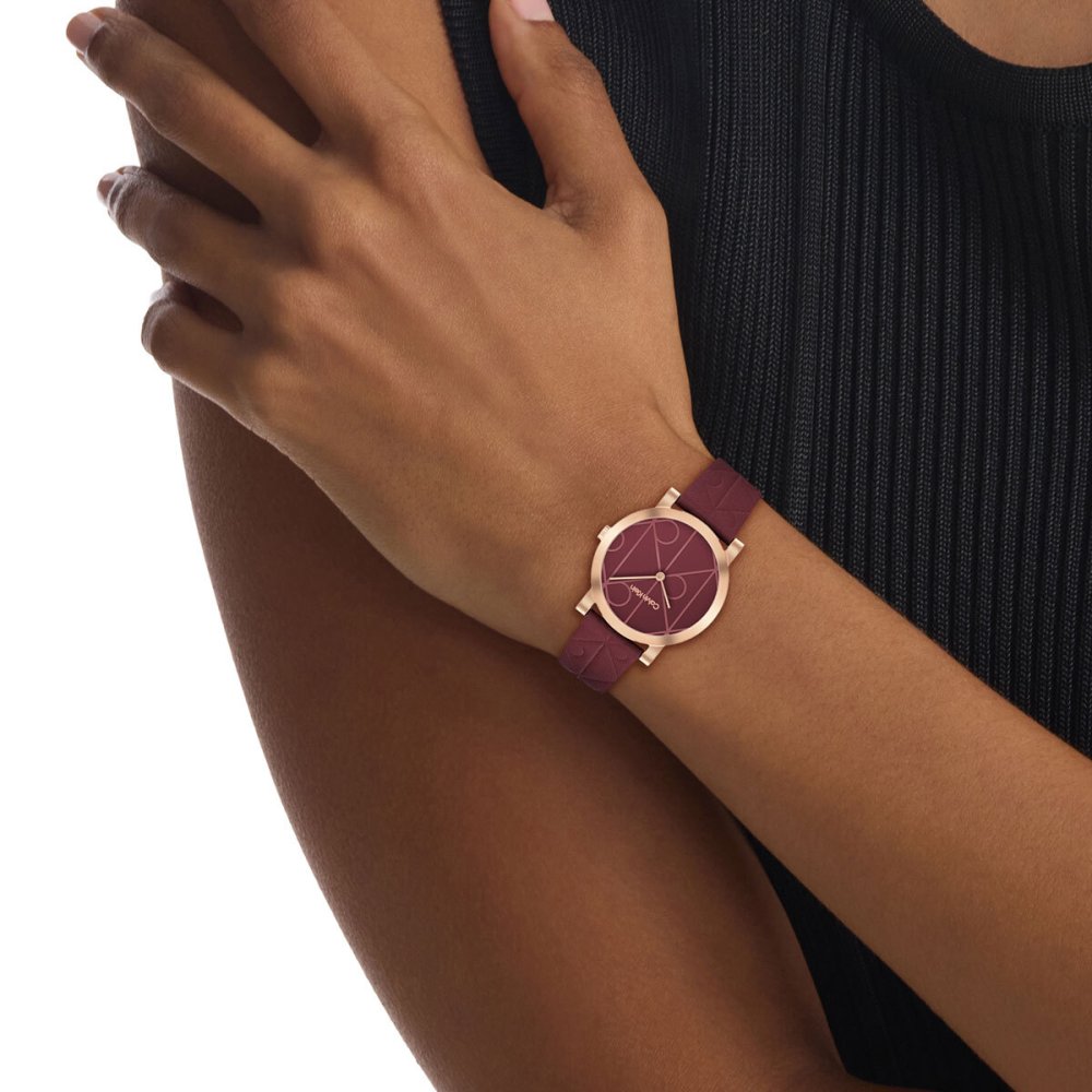 【選べるノベルティー付き】カルバン クライン CALVINKLEIN MONOGRAM32 腕時計 レディース クォーツ 25100130 カルバンクライン