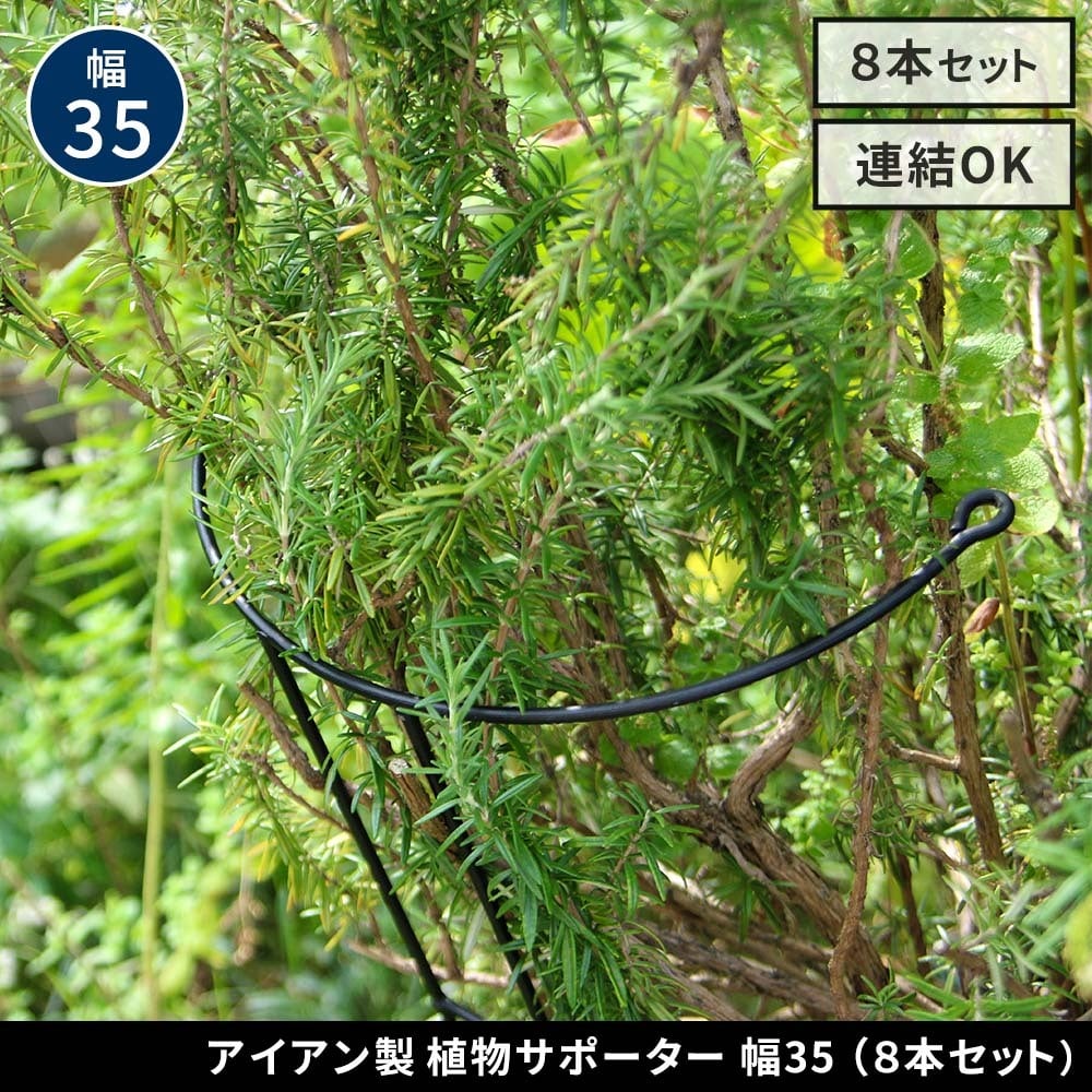 アイアン製植物サポーター 幅35 8本セット IF-N0048-8P奥行18 高さ65 ハーフリング 倒れ防止 広がり抑制 スチール 鉄製 支柱 園芸 植物サポート フラワーサポート 菜園 花壇
