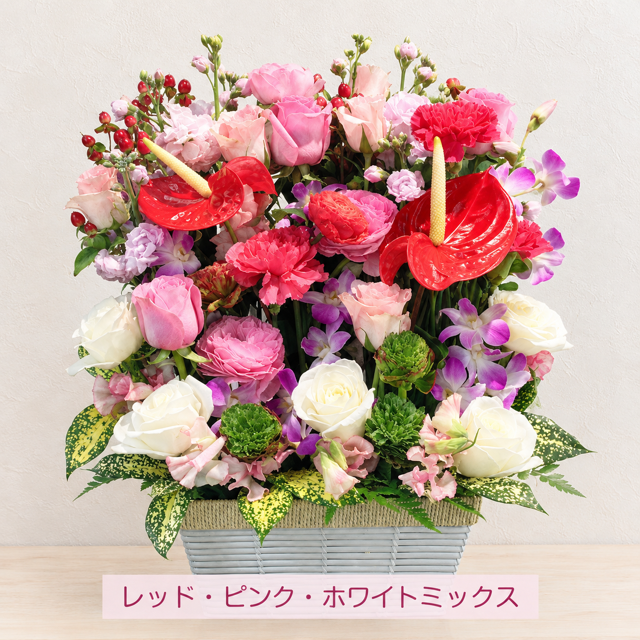ご希望の色合いで選べる スクエアバスケットアレンジメント 高さ45cm 生花 フラワーアレンジメント 花ギフト フラワーギフト 誕生日 お祝い お見舞い 送別 季節行事 お供え お悔やみ 最短発送 送料無料【北海道・沖縄・九州・四国・中国・離島は配送不可】