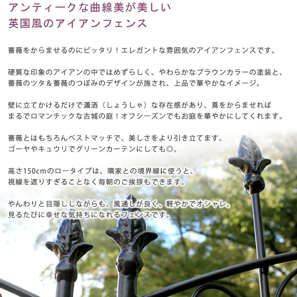 ガーデン エクステリア アイアンローズフェンス150 ロータイプ 4枚組 フェンス アイアン ガーデニング 枠 柵 仕切り 目隠し 境目 クラシカル アンティーク トレリス ベランダ つる 薔薇 バラ 朝顔 園芸 ラティス つるバラ 庭誘引 新生活