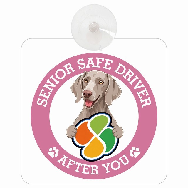 カーサイン 高齢者マーク SENIOR SAFE DRIVER ワイマラナー 車内用 吸盤タイプ 収れん火災防止タイプ 肉球 日本製 車 ステッカー