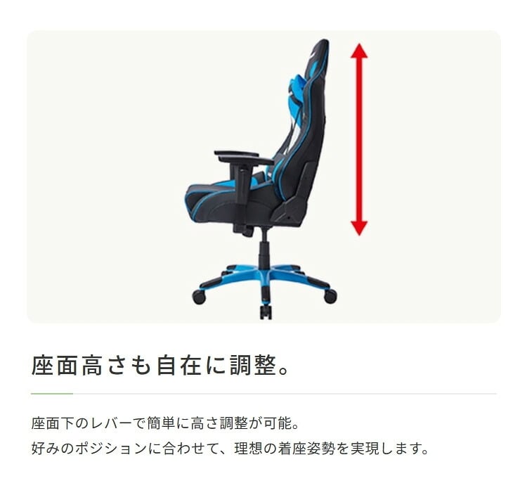 オフィスチェア AKRacing(エーケーレーシング) Pro-X V2 Dragons(中日ドラゴンズモデル) 日本プロ野球 ゲーミング 4Dアジャスタブルアームレスト ヘッドレスト ランバーサポート オフィス Pro-XV2Dragons ウレタン 新生活