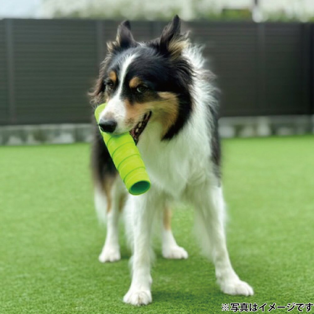 ジョイサー JOYSER ホールスティック 犬用おもちゃ オレンジ