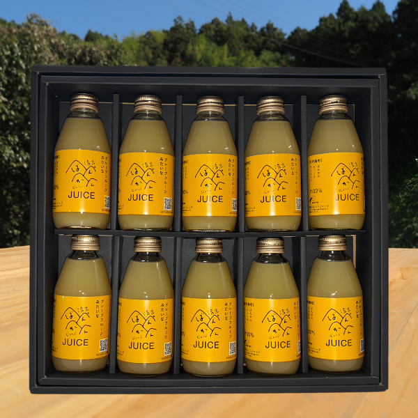 河内晩柑ジュース 200ml ギフト箱 愛媛県産【贅沢な果汁100％】送料無料
