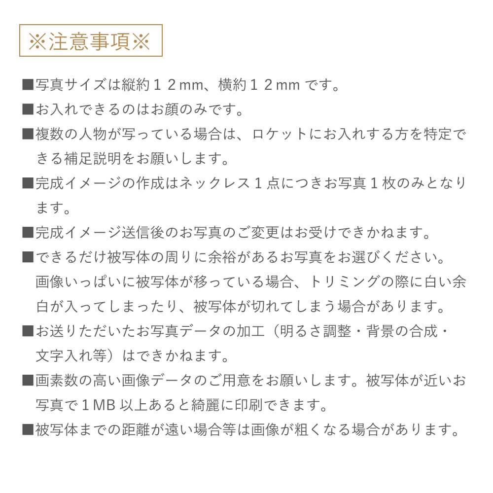 セミオーダー[ 刻印 ・ 写真入れ 可能] " 天使の卵 "  メモリアル ロケット ペンダント ネックレス 男女兼用 変色しにくい ロジウム 加工    [ten8115rm] 出産 結婚 出産 お祝い 出産祝い 赤ちゃん ペット おばあちゃん おじいちゃん 妻 夫 子供 おすすめ プレゼント 人気 秋アクセ 秋ジュエリー ご褒美ジュエリー 彼女 ネックレス ギフト バースデー ギフト 記念日