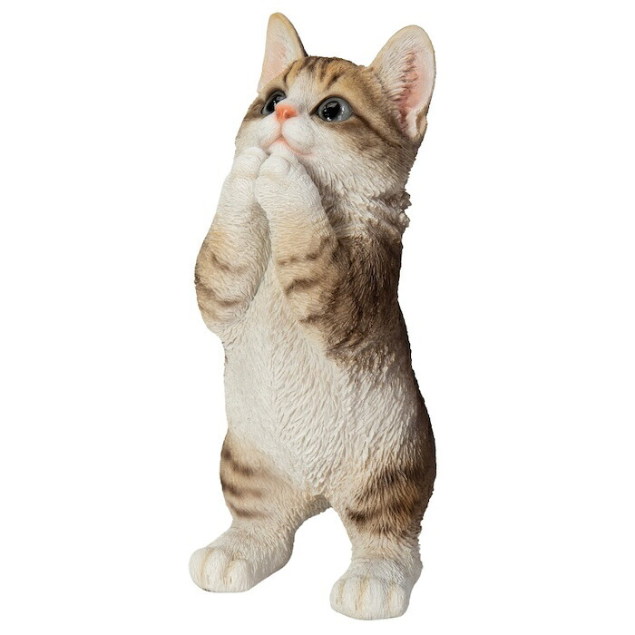 置物 猫 おねだり濃茶トラ白猫 高さ23cm woobia ウービア リアル かわいい おしゃれ 玄関 インテリア オブジェ ガーデン 茶トラ おねだり ねこ ネコ 動物 アニマル 癒し 棚 北欧 プレゼント ギフト 新築祝い 猫好き