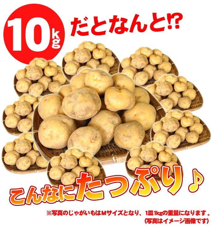 きたあかり 9.5-10kg 訳あり 北海道 じゃがいも S-Mサイズ 送料無料  ※沖縄は送料別途加算 キタアカリ